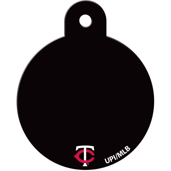 Minnesota Twins Back