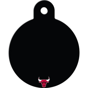 Chicago Bulls Back