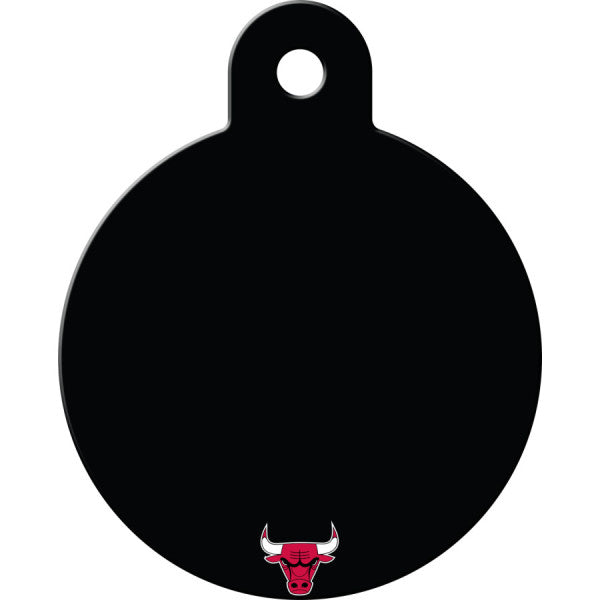 Chicago Bulls Back