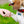 Peanuts Space Traveler, Medium Medium Pet ID Tag