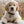 MARVEL Avengers Multi Character Pet ID Tag, Large Circle
