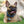Small Bone Aqua & Teal Checkered Pet Tag