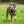 Large Square Puerto Rico Flag Pet Tag