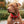 Large Square USA Flag Pet Tag