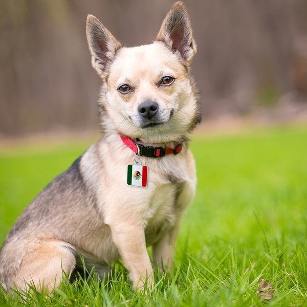 Large Square Mexico Flag Pet Tag