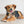 Rubber Duck Pet Tag, Kitten