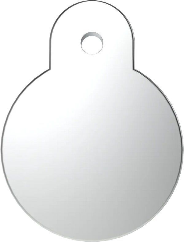 Small Fish Bone Pet Tag