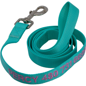 Personalized Nylon Pet Leash Turquoise