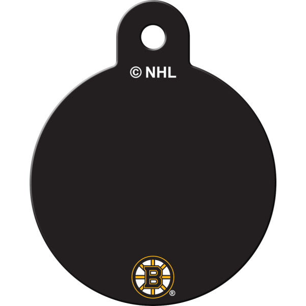 Boston Bruins Back