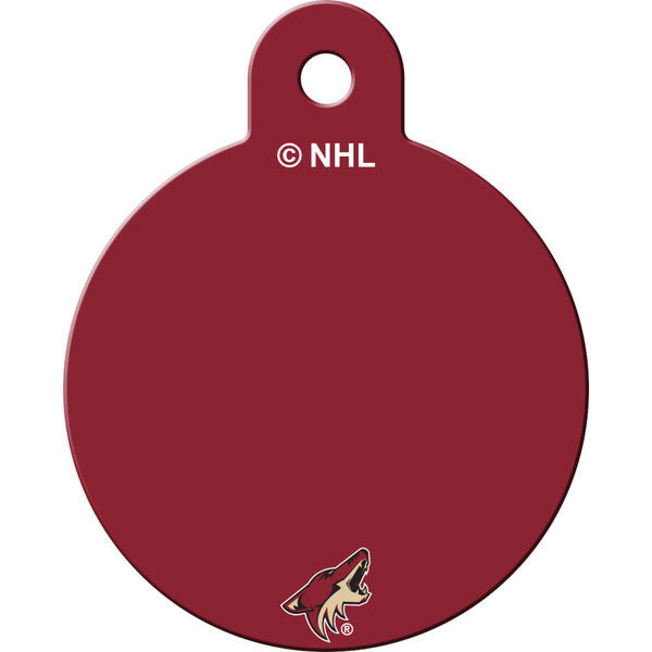 Arizona Coyotes Back