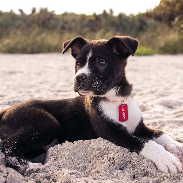 Raspberry Anodized Aluminum Small Military Pet ID Tag