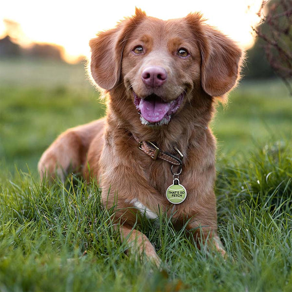 "That's So Fetch" Large Circle Raised Edge Pet ID Tag