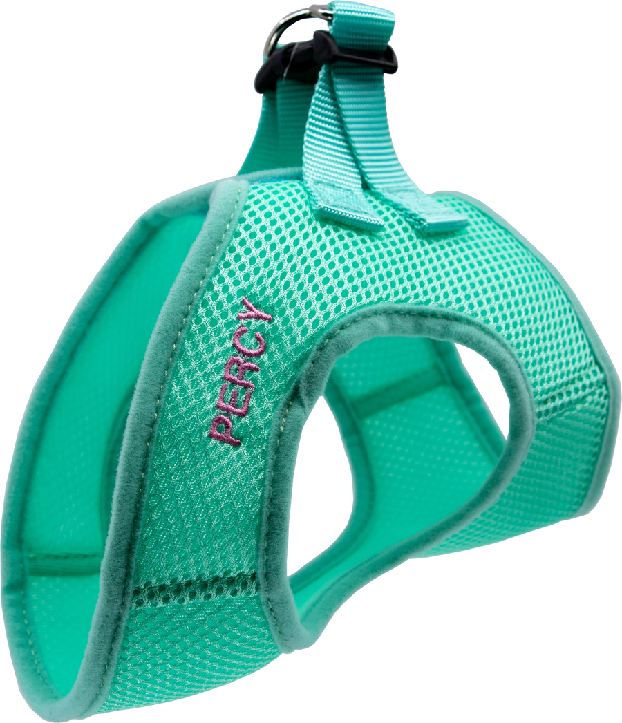 Personalized Mesh Pet Harness Turquoise