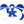 Kentucky Wildcats Dog Tag, Medium Bone