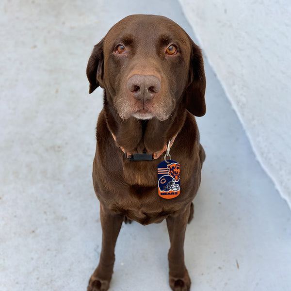 Chicago Bears Dog Tag, Military Shape