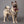 Medium Bone Shape Dog Tag with Plated Brass