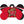 Maryland Terrapins Dog Tag