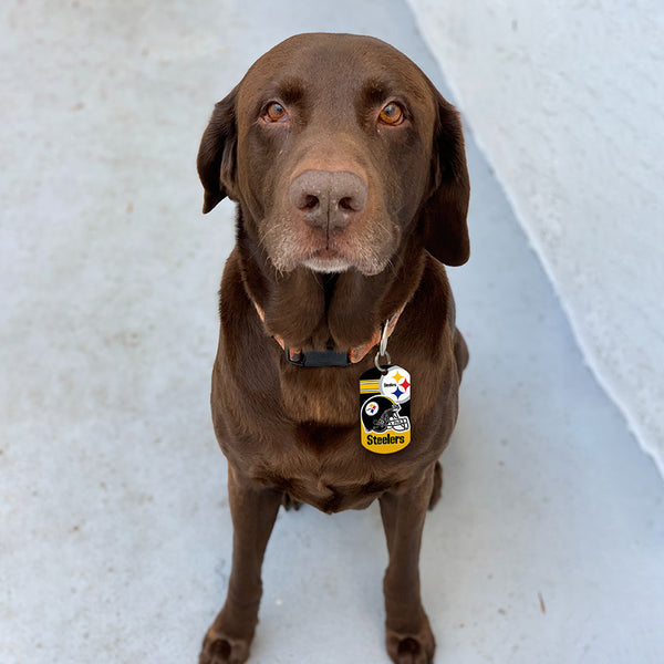 Pittsburgh Steelers Dog Tag, Military Shape