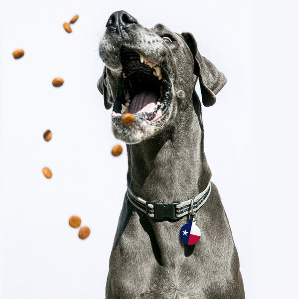 Texas Flag Pet ID Tag, Large Circle