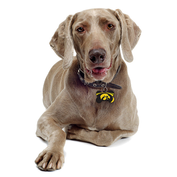 Iowa Hawkeyes Dog Tag, Medium Bone