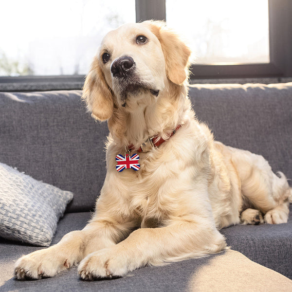 Union Jack Flag Dog Tag, Medium Bone