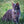 Diva Heart Pet ID Tag for Dogs and Cats