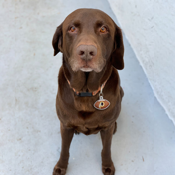Washington Redskins Pet Tag, Football Shape