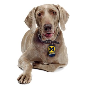 Michigan Wolverines Dog Tag, Military Shape