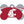 Load image into Gallery viewer, Washington State Cougars Dog Tag
