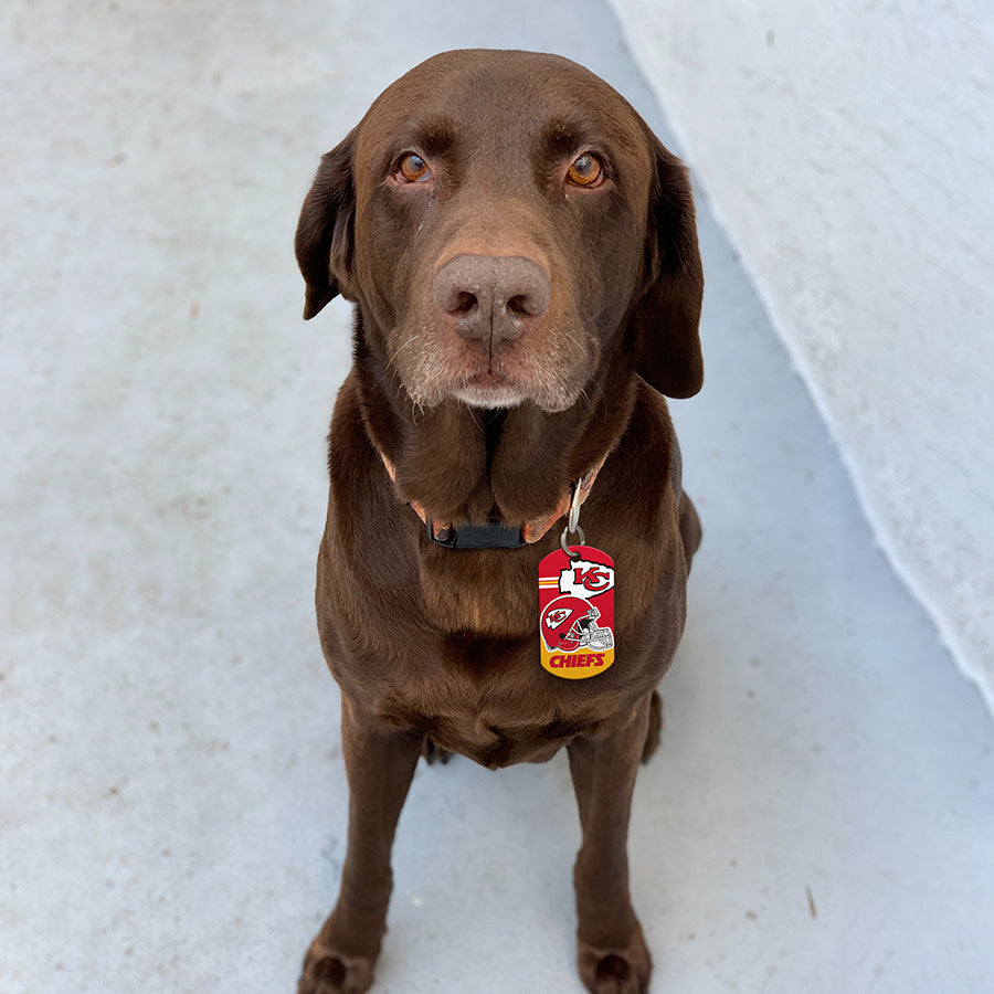 Kansas City Chiefs Dog Collar & Pet ID Tag