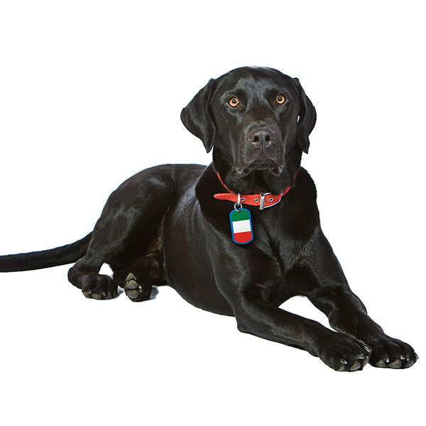 Italian Flag Dog Tag, Military Shape