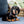 Shield Shape Pet Tag