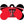 Texas Tech Red Raiders Dog Tag, Medium Bone