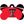 Load image into Gallery viewer, Texas Tech Red Raiders Dog Tag, Medium Bone
