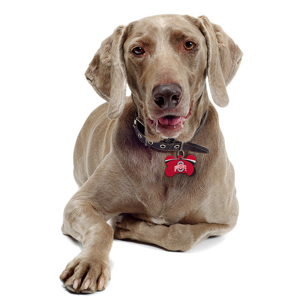 Ohio State Buckeyes Dog Tag, Medium Bone